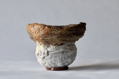 POT: CAT226 - online store