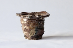 Image of POT: CAT225