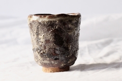 CUP: CAT160