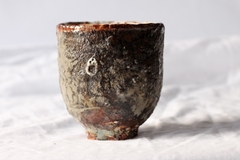 CUP: CAT161