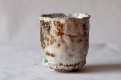 CUP: CAT177 on internet