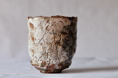 CUP: CAT176 - online store
