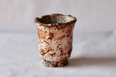 CUP: CAT166 - online store