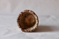 CUP: CAT166 - buy online