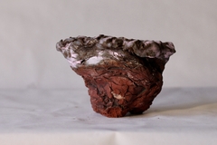 POT: CAT158 - buy online