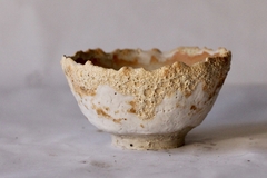 POT: CAT219 - buy online