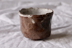 CUP: CAT111 - comprar online