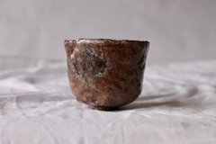 CUP: CAT111