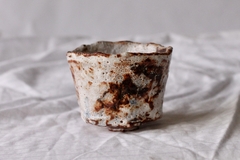 CUP: CAT110 - online store