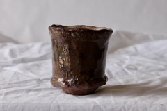 CUP: CAT119 on internet