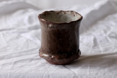CUP: CAT119 - online store