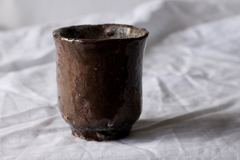 CUP: CAT118 - online store