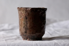 CUP: CAT118
