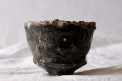 CUP: CAT116