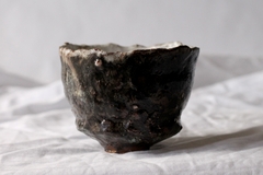 CUP: CAT116 on internet