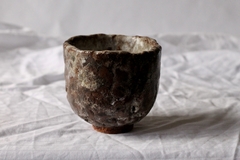 CUP: CAT105