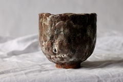 CUP: CAT105 - comprar online