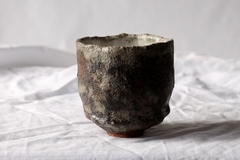CUP: CAT101 - comprar online