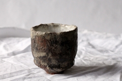 CUP: CAT101 - comprar online