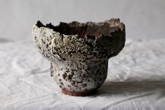 POT: CAT211 - online store