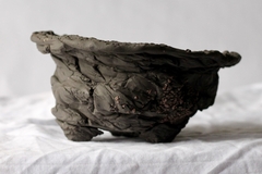 POT: CAT201 - buy online