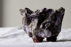 POT: CAT145