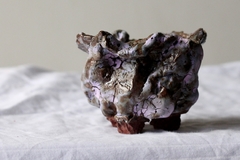 Image of POT: CAT145