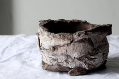 Image of POT: CAT144
