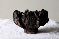 Image of POT: CAT162