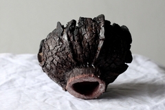 Image of POT: CAT162