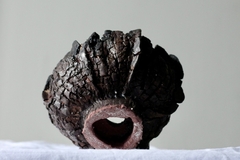 POT: CAT162 - buy online