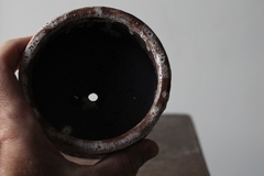 Imagem do POT: CAT123