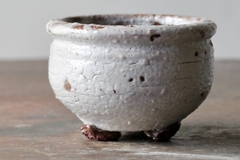 POT: CAT110 - buy online