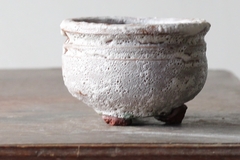 POT: CAT109 - buy online