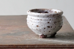 POT: CAT107 - buy online