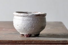 POT: CAT105 - buy online