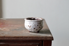 POT: CAT103