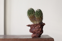 POT: CAT189 - online store