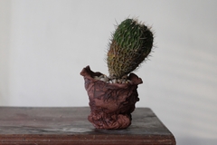 Image of POT: CAT189