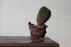 POT: CAT189 - online store