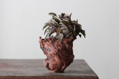 Image of POT: CAT170