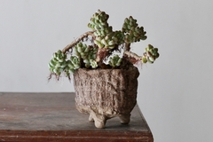 POT: CAT187 - online store