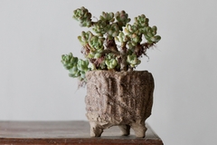 POT: CAT187 - buy online