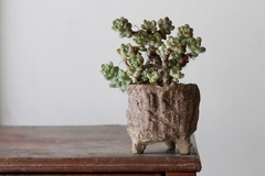 POT: CAT187 - buy online