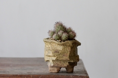 POT: CAT185 - online store