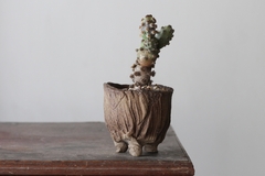 POT: CAT183 - buy online