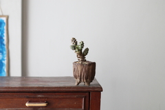 POT: CAT183 - buy online