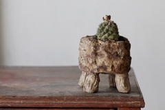 Image of POT: CAT182