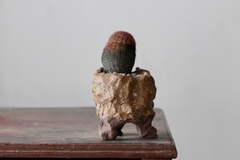 POT: CAT181 - buy online