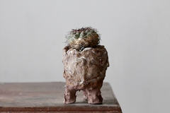 POT: CAT178 - buy online